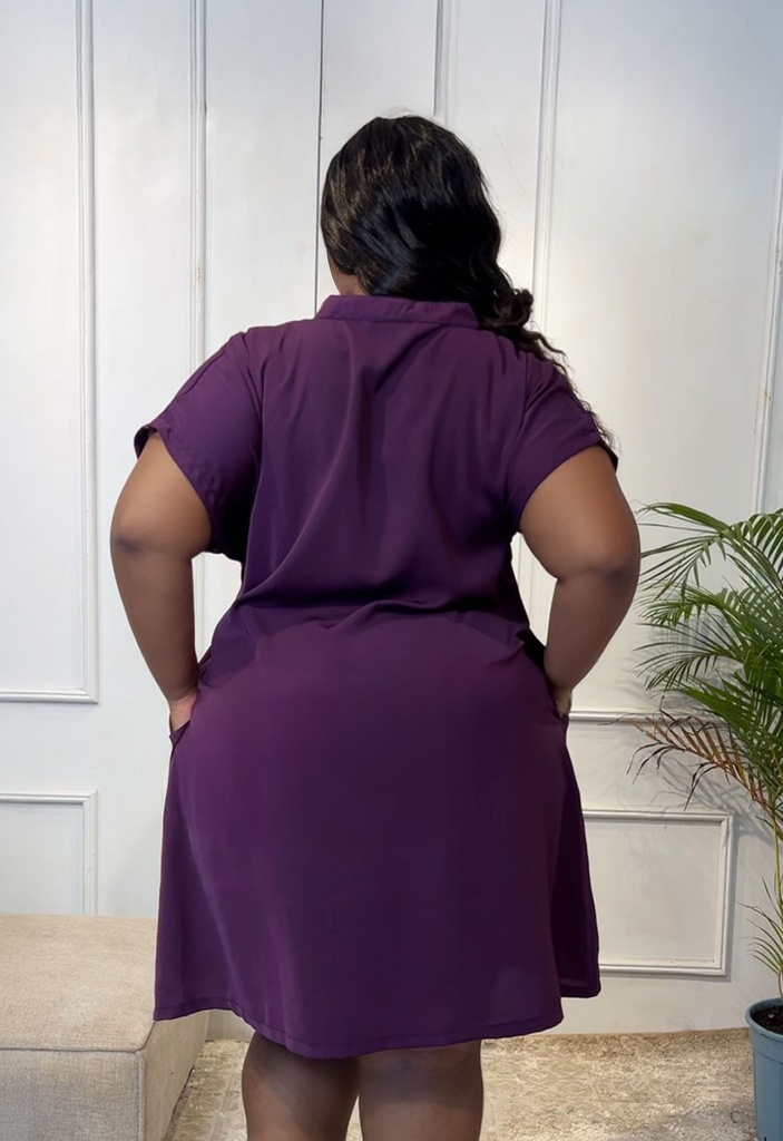 Short free Dress with collar
