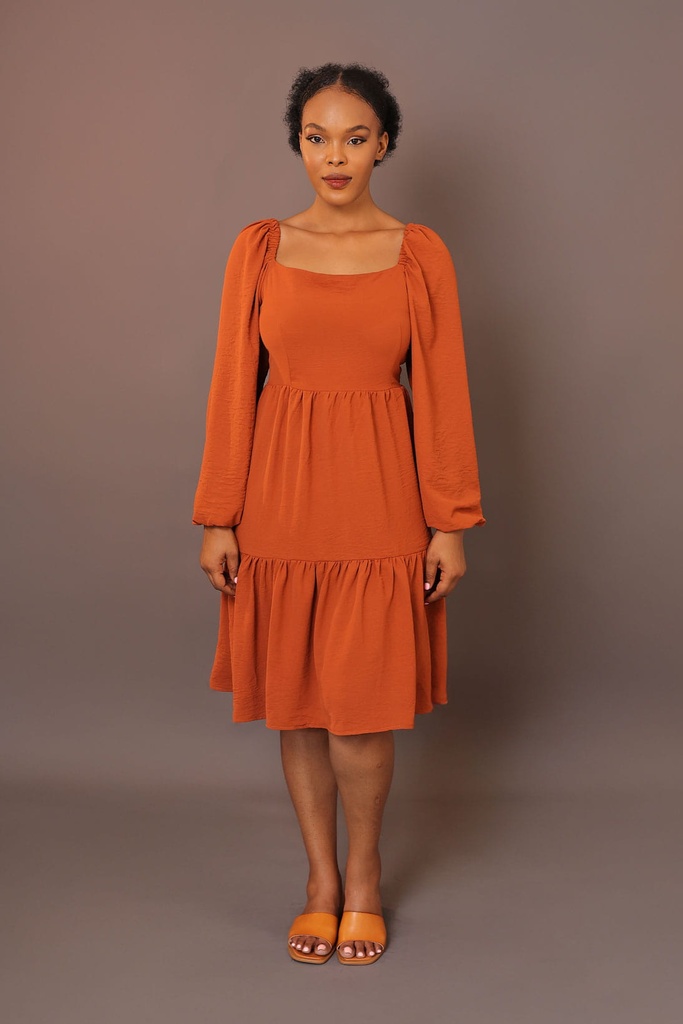 Puffy Sleeve Dress